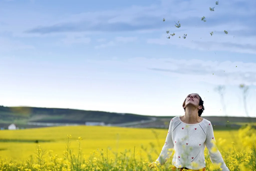 Understanding Particulate Matter: What You Need to Know